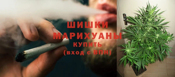 мдпв Костерёво
