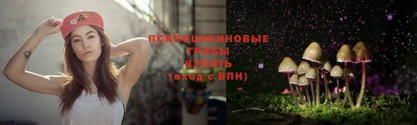 мдпв Костерёво