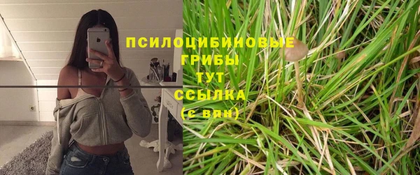 мдпв Костерёво