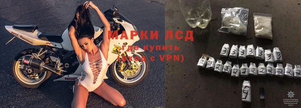 твердый Коряжма