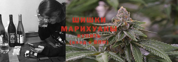 твердый Коряжма